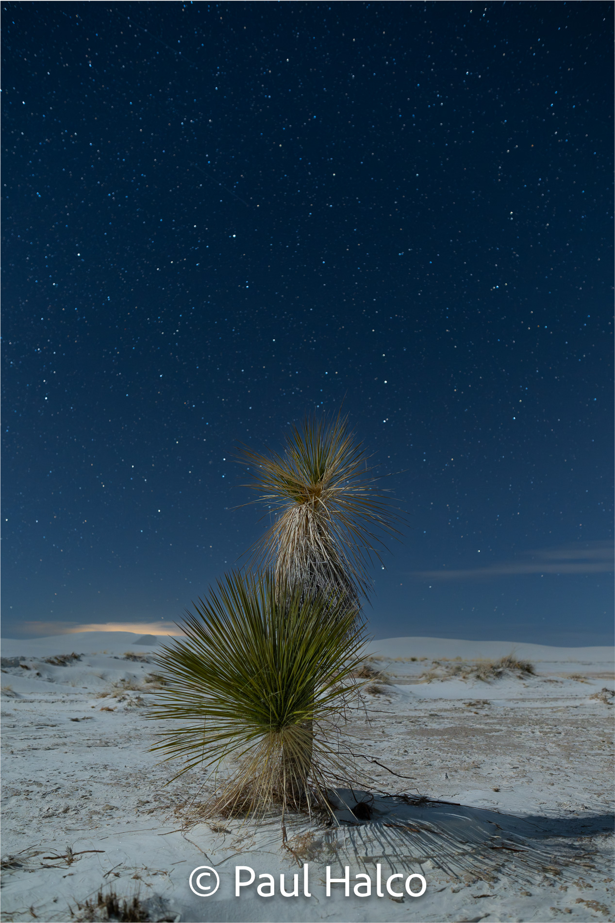 Paul Halco - White Sands NP-18